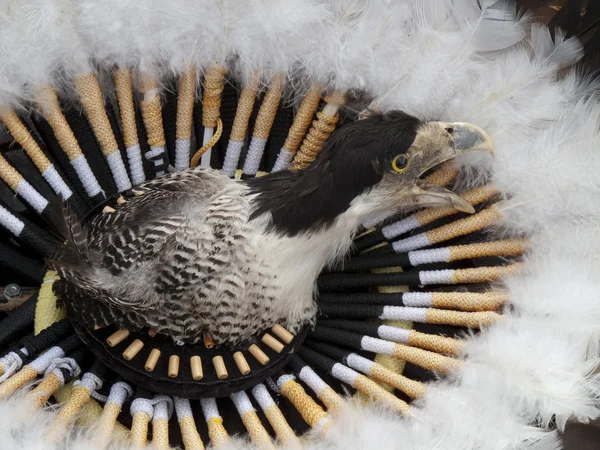 stock image Indian headdress