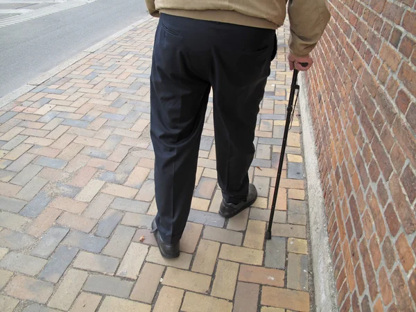 Anziani a piedi — Foto Stock