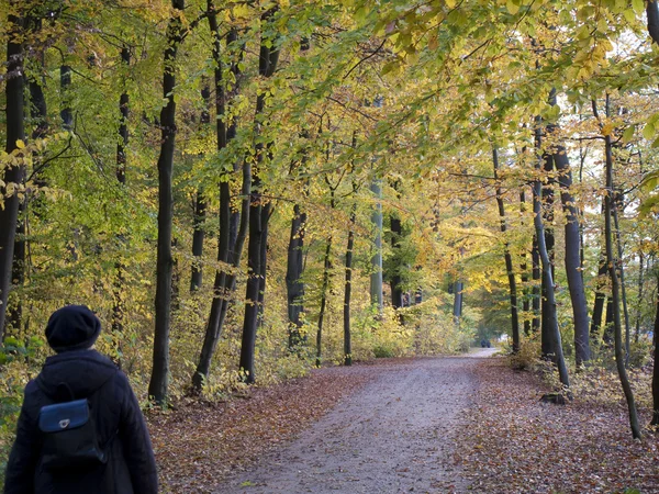 가을 산책 — 스톡 사진