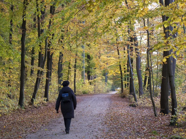 Caminhada de outono sênior — Fotografia de Stock