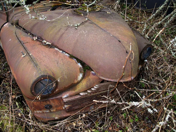 Auto lasciata nella natura — Foto Stock