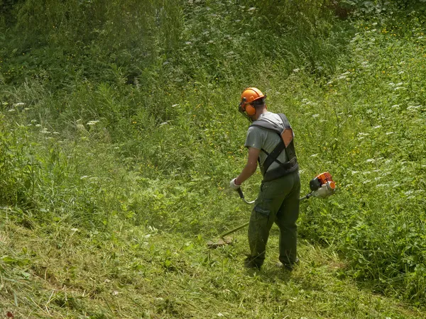 Человек стрижет высокую траву — стоковое фото