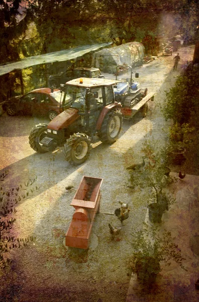 农家 pidmont 意大利 — 图库照片
