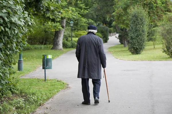 Senior promenad i parken — Stockfoto