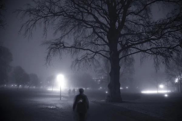 有雾的晚上在公园里 — 图库照片