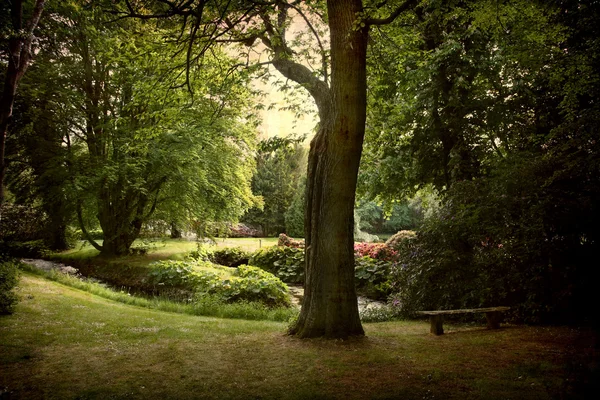 Nice old park Denmark — Stock Photo, Image
