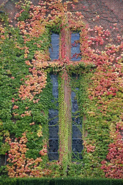 Cruz de otoño — Foto de Stock