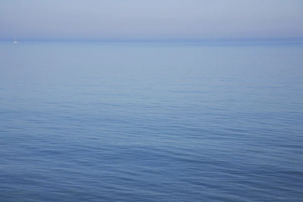Passera di mare — Foto Stock