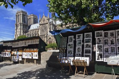 Paris 'teki Notre Dame Katedrali