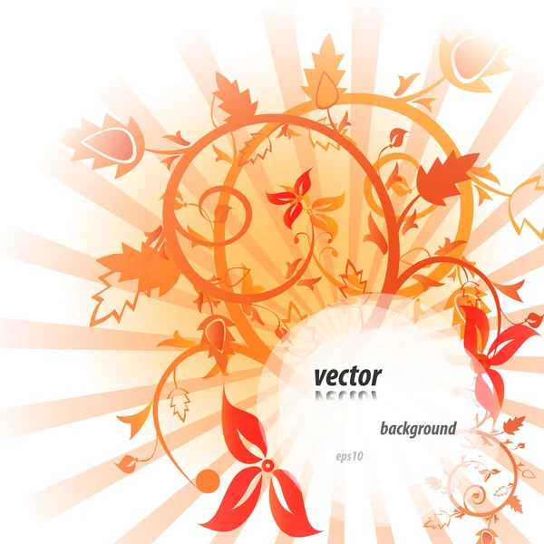 Krásné květinové květinové vektorová design — Stockový vektor