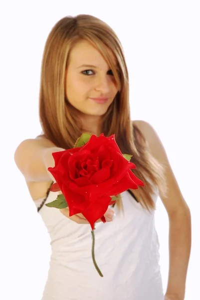 Una rosa per te — Foto Stock