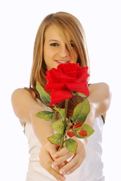 Love is a red rose — Stock Photo, Image