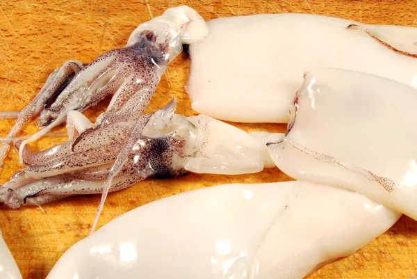 Calamari e cespi 004 — Foto Stock