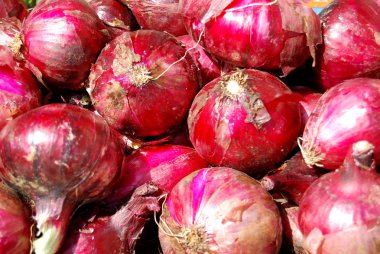 Red Onion of Capo Vaticano - Calabria clipart