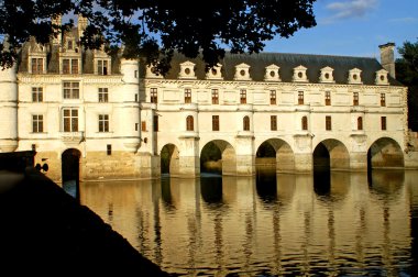 The castle of Chenonceaux - France clipart