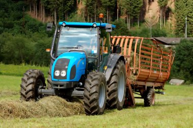 The hay harvest - Bagolino - Brescia clipart