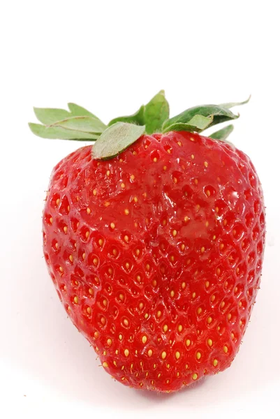 Great strawberry — Stock Photo, Image