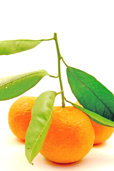 Grupo de mandarinas — Fotografia de Stock