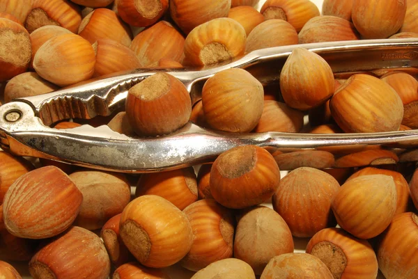 Hasselnötter med nötknäppare — Stockfoto