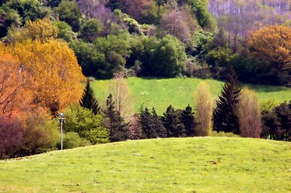 Hügelige Landschaft mit Vegetation — Stockfoto
