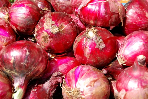 Red Onion dari Capo Vaticano Calabria — Stok Foto