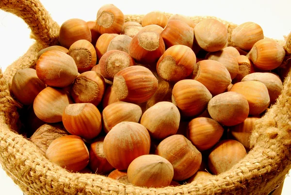 Košík lískových ořechů — Stock fotografie