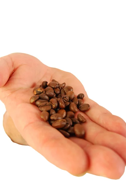 Try this coffee — Stock Photo, Image