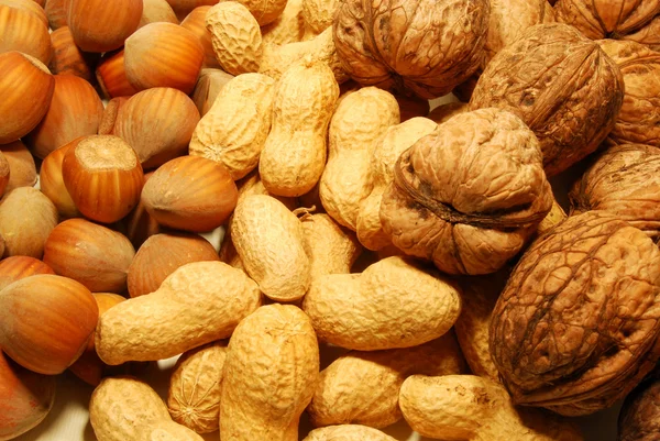 Valnötter, hasselnötter och jordnötter — Stockfoto