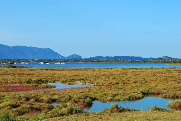 stock image Landscape at sunset in Sardinia - Italy