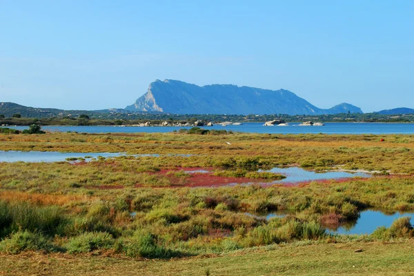 stock image Landscape at sunset in Sardinia - Italy