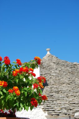 trulli alberobello - apulia - İtalya