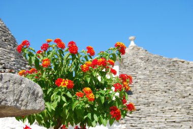 trulli alberobello - apulia - İtalya