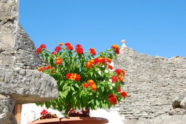 trulli alberobello - apulia - İtalya