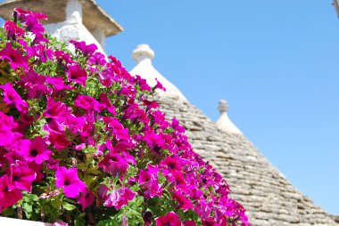 trulli alberobello - apulia - İtalya