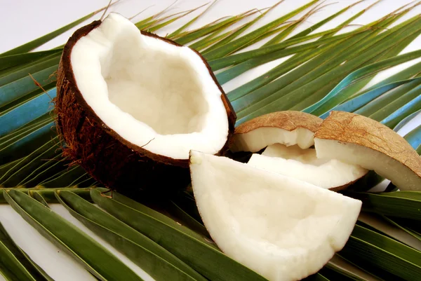 Stock image Exotic Fruits