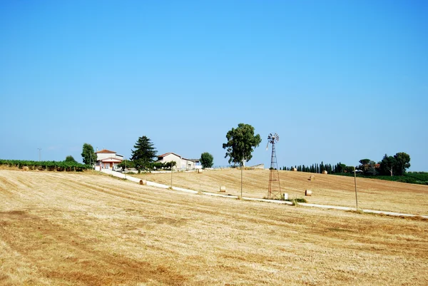 Vista Campo de Velletri — Fotografia de Stock