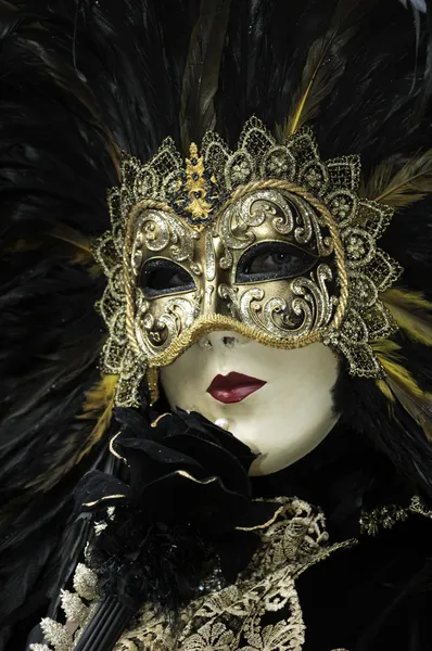 stock image Venetian Carnival Mask