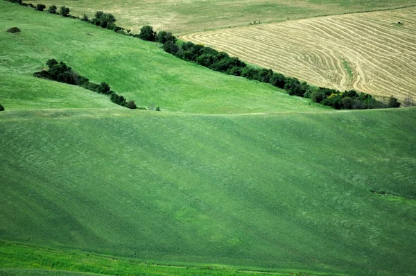 Landschaft mit einer grünen Wiese — Stockfoto