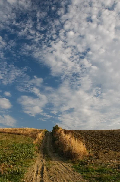 stock image Country landscape with a green field and blue sky