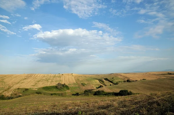 Venkovská krajina s pole, zelená a modrá obloha — Stock fotografie