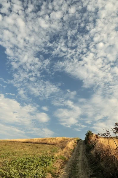 stock image Country landscape with a green field and blue sky