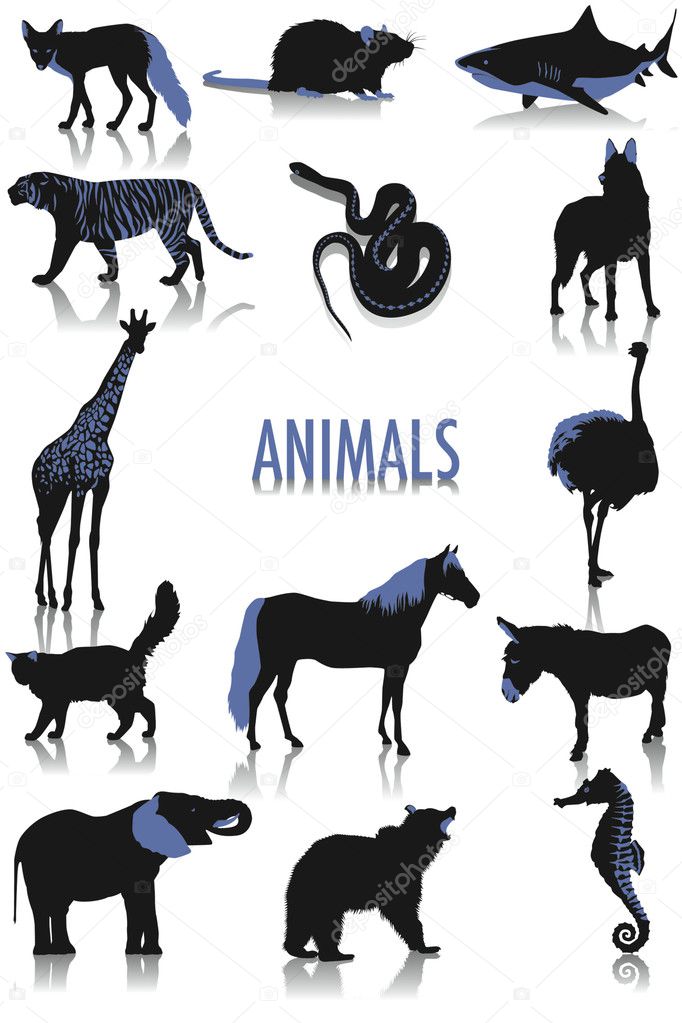 Animals silhouettes