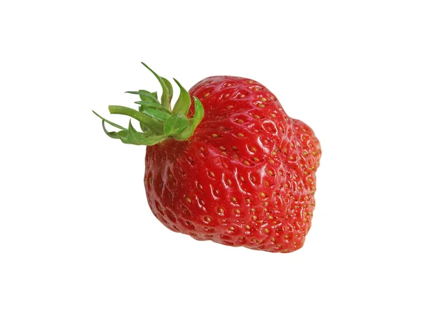一个红色的草莓 — 图库照片