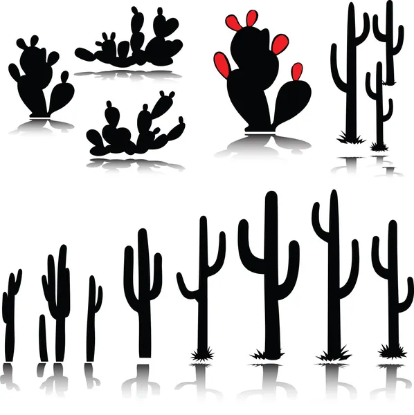 ᐈ Arizona desert cactus stock pictures, Royalty Free arizona cactus ...