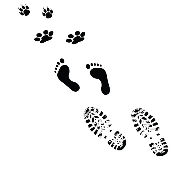 Paws and feet vector silhouette — Stock Photo © drgaga #6447423
