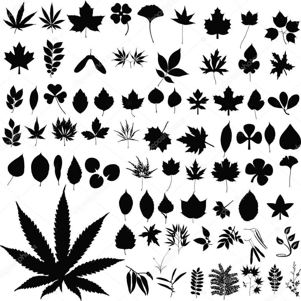 Download Marijuana plants silhouettes — Stock Photo © drgaga #6447344