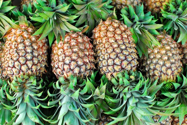 stock image Freshly picked tropical pineapples