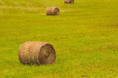 alanda büyük balya