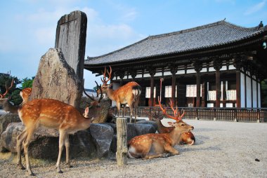 Deers flocking in front of temple clipart