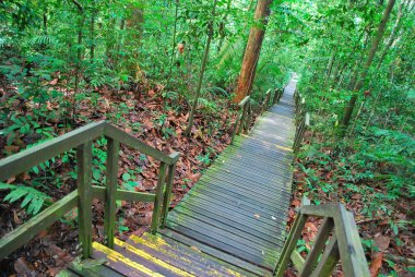 Long stretch of stairs leading low down clipart